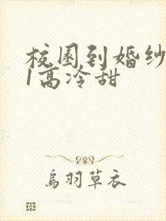 校园到婚纱1V1高冷甜