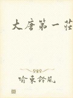 大唐第一庄