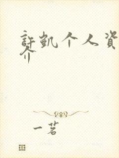 许凯个人资料简介