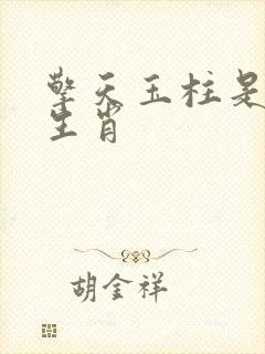 擎天玉柱是什么生肖