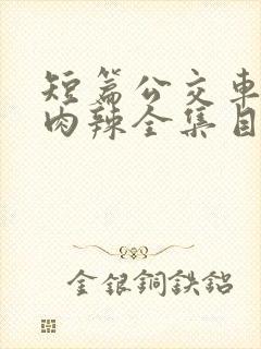 短篇公交车高h肉辣全集目录