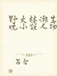 野火林潮生林晚晚小说人物野火