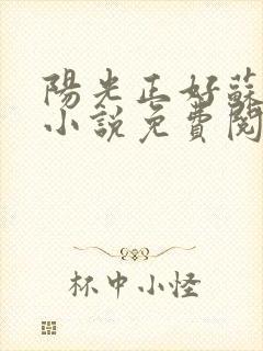 阳光正好苏玥玥小说免费阅读无弹窗