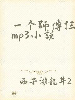一个师傅仨徒弟mp3小说