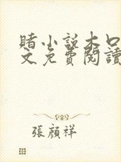 赌小说木口银全文免费阅读笔趣阁