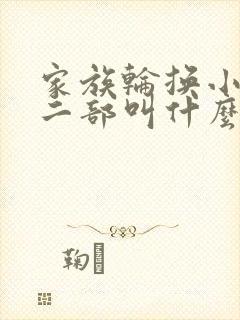 家族轮换小说第二部叫什么名字