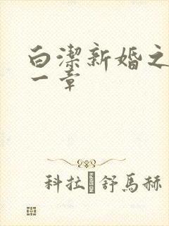 白洁新婚之夜第一章