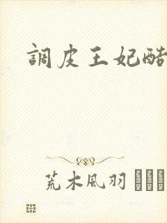调皮王妃酷王爷