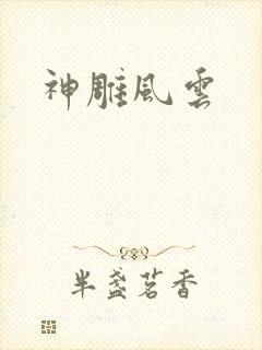 神雕风云