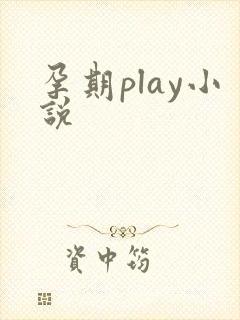 孕期play小说
