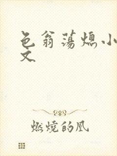 色翁荡熄小说全文