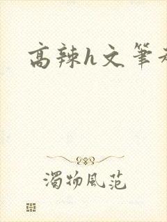 高辣h文笔趣阁