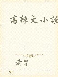 高辣文小说
