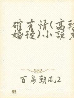 确有情(高干 婚后)小说免费