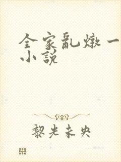 全家乱炖一锅烩小说