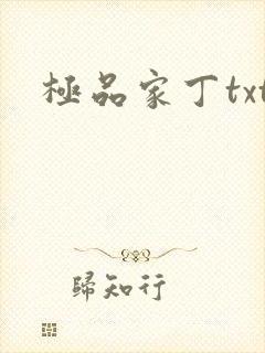 极品家丁txt