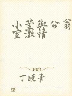 小莹与公翁办公室激情