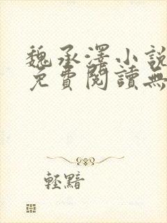 魏承泽小说全文免费阅读无弹窗笔趣