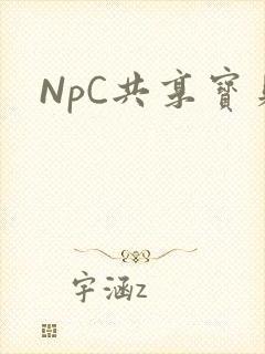 NpC共享宝贝