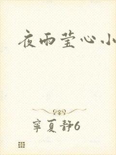 夜雨莹心小说