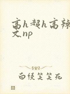 高h超h高辣h文np