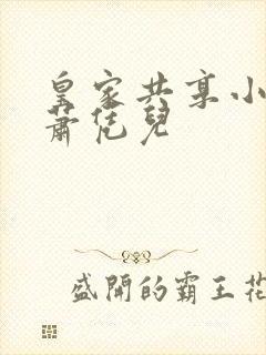 皇家共享小公主萧凭儿