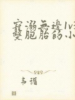 宠溺无边1v3双胞胎的小说