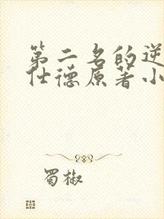 第二名的逆袭高仕德原著小说