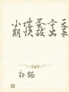 小坏蛋今天危险期快拔出来