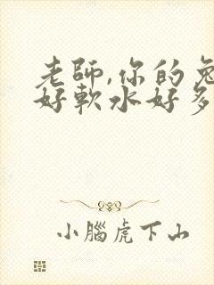 老师,你的兔子好软水好多
