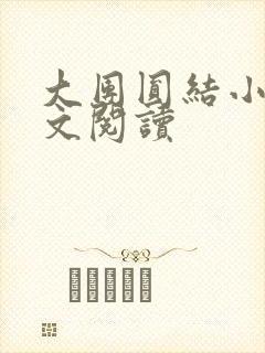 大团圆结小茹全文阅读