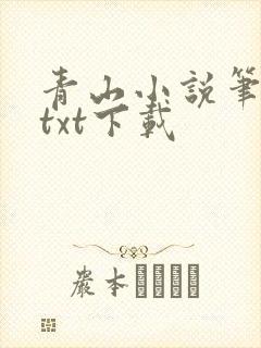 青山小说笔趣阁txt下载