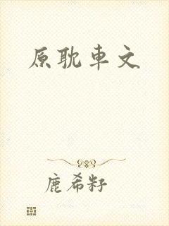 原耽车文