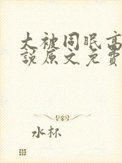 大被同眠高粱小说原文免费阅读