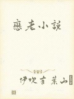 恋老小说