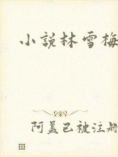 小说林雪梅