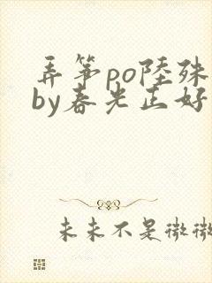 弄筝po陆殊词by春光正好