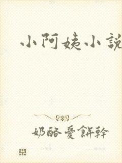 小阿姨小说