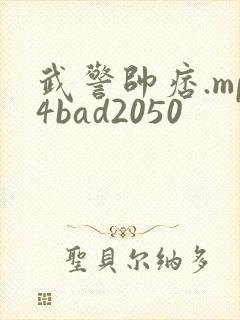武警帅痞.mp4bad2050