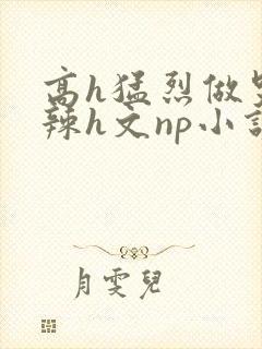 高h猛烈做哭高辣h文np小说