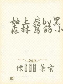 她上瘾by黑暗森林写的小说免费阅读无弹窗