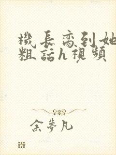 机长脔到她哭h粗话h视频