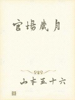官场岁月