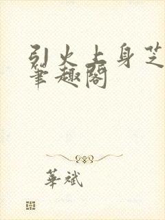 引火上身芝麻糖笔趣阁