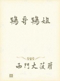 鸨哥鸨姐