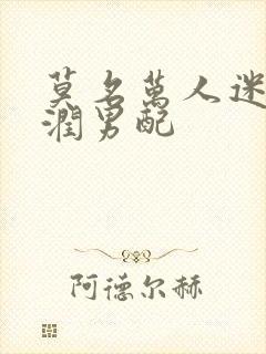 莫名万人迷的温润男配