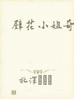 壁花小姐奇遇记