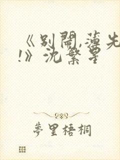 《别闹,薄先生!》沈繁星