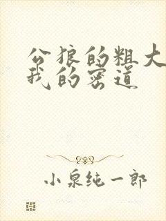 公狼的粗大挺进我的密道