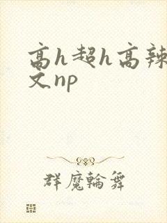 高h超h高辣h文np